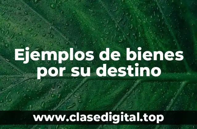 Ejemplos de bienes por su destino