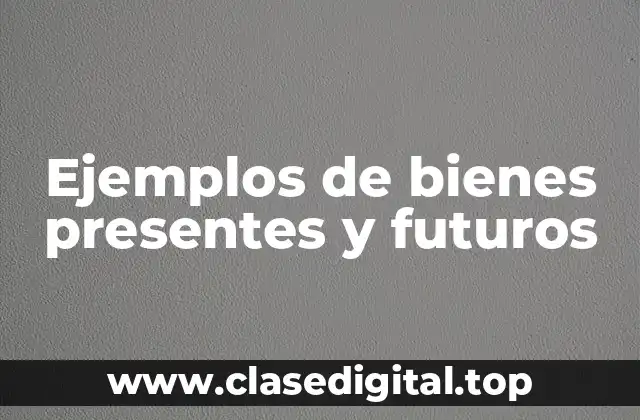 Ejemplos de bienes presentes y futuros