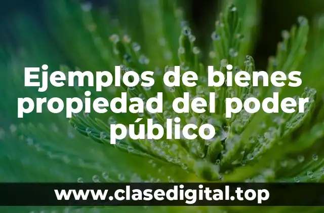 Ejemplos de bienes propiedad del poder público