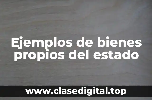 Ejemplos de bienes propios del estado