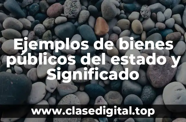 Ejemplos de bienes públicos del estado y Significado