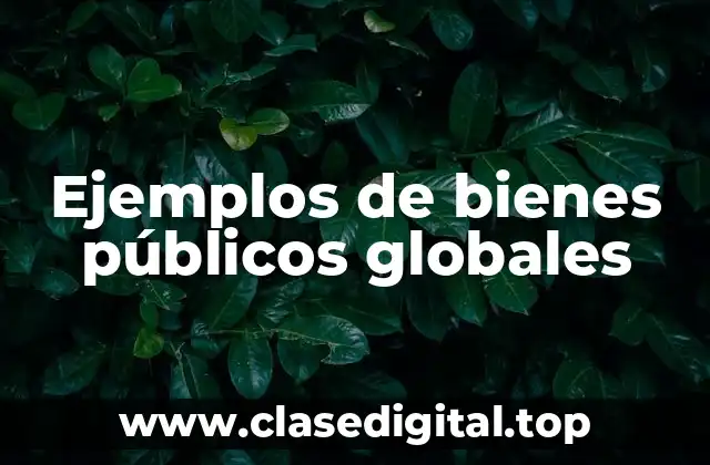 Ejemplos de bienes públicos globales