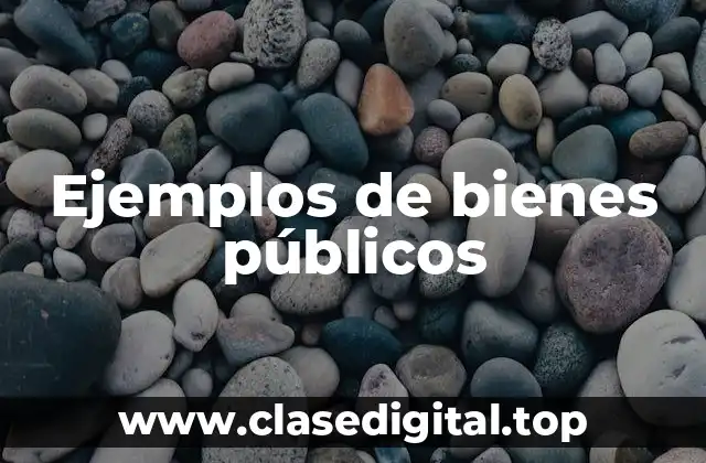 Ejemplos de bienes públicos