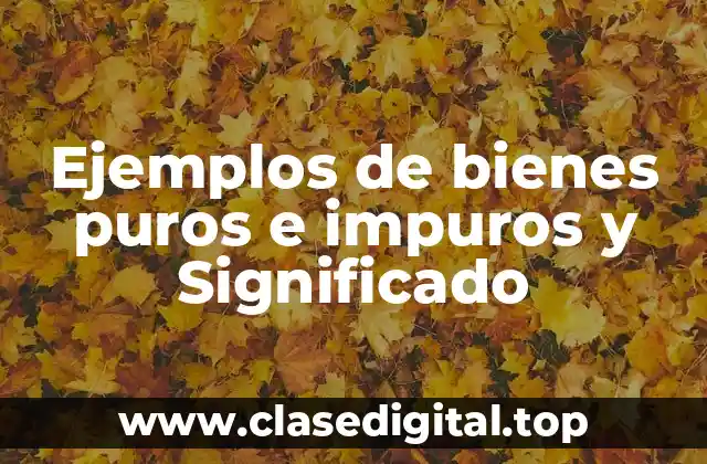 Ejemplos de bienes puros e impuros y Significado