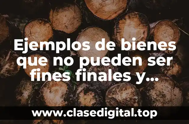 Ejemplos de bienes que no pueden ser fines finales y Significado