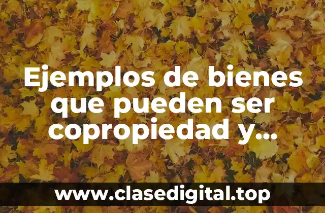 Ejemplos de bienes que pueden ser copropiedad y Significado