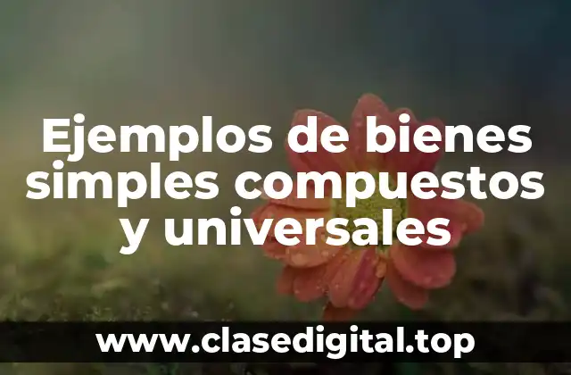 Ejemplos de bienes simples compuestos y universales