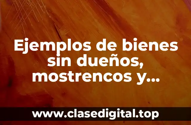 Ejemplos de bienes sin dueños, mostrencos y vacantes