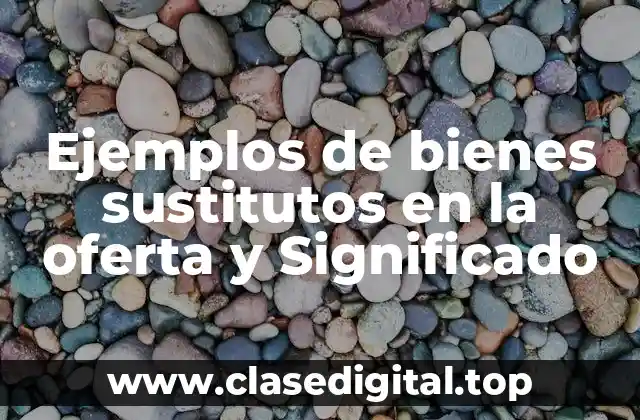 Ejemplos de bienes sustitutos en la oferta y Significado