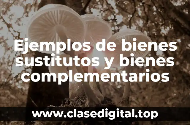 Ejemplos de bienes sustitutos y bienes complementarios
