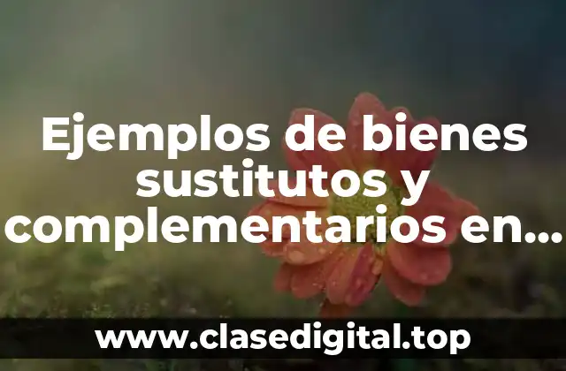 Ejemplos de bienes sustitutos y complementarios en la producción y Significado
