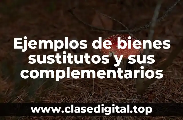 Ejemplos de bienes sustitutos