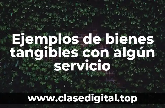 Ejemplos de bienes tangibles con algún servicio