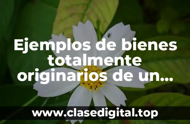 Ejemplos de bienes totalmente originarios de un pais