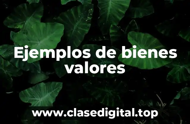 Ejemplos de bienes valores
