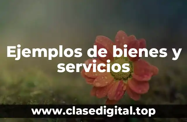 Ejemplos de bienes y servicios