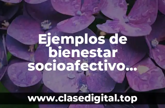 Ejemplos de bienestar socioafectivo personal y Significado