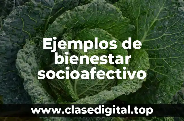 Ejemplos de bienestar socioafectivo
