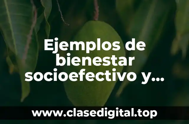 Ejemplos de bienestar socioefectivo