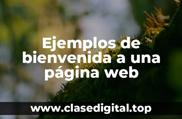 Ejemplos de bienvenida a una página web