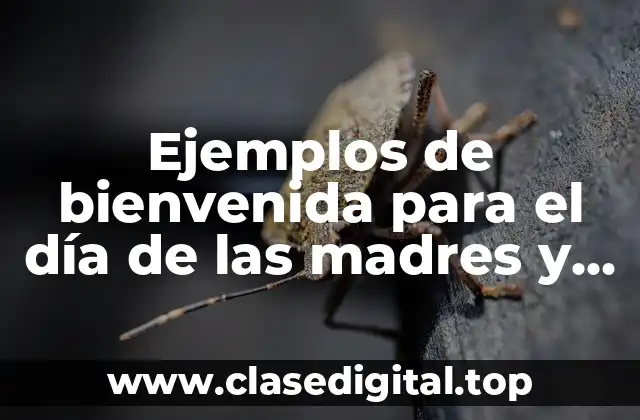 Ejemplos de bienvenida para el día de las madres y Significado