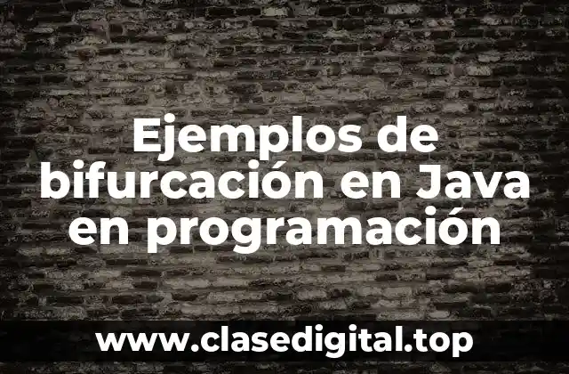 Ejemplos de bifurcación en Java