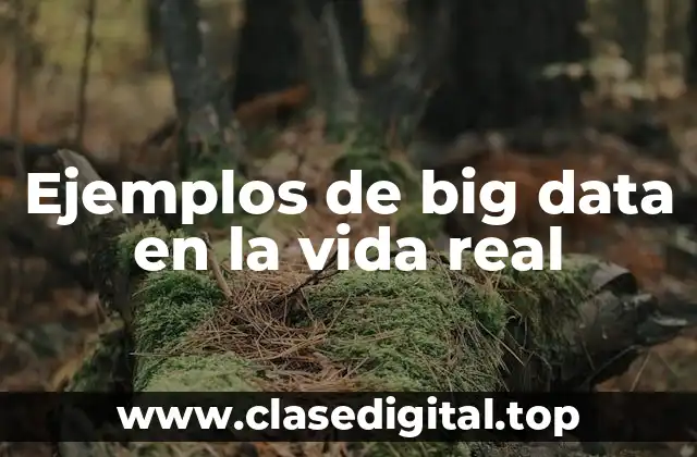 Ejemplos de big data en la vida real