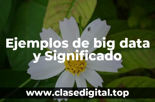 Ejemplos de big data y Significado