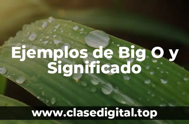 Ejemplos de Big O y Significado