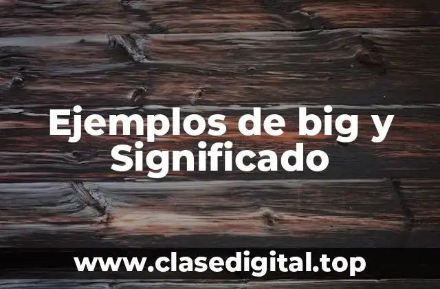 Ejemplos de big y Significado