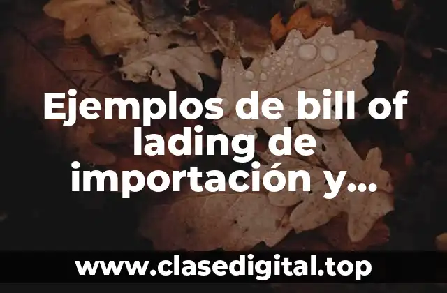 Ejemplos de bill of lading de importación
