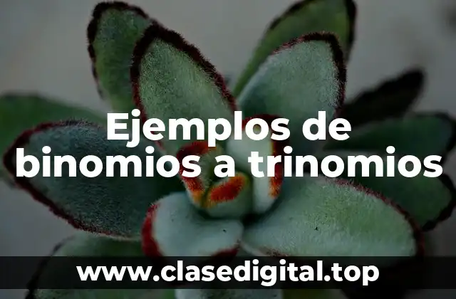 Ejemplos de binomios a trinomios