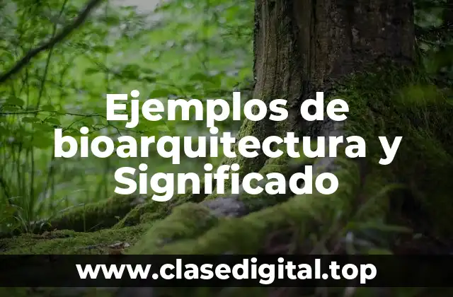 Ejemplos de bioarquitectura y Significado