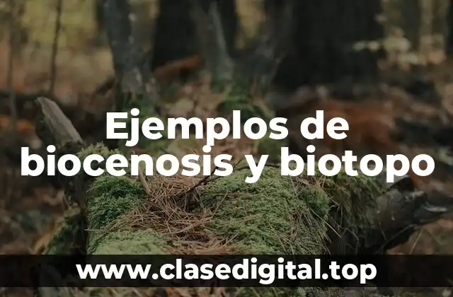 Ejemplos de biocenosis