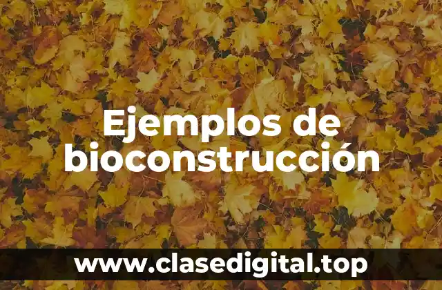 Ejemplos de bioconstrucción