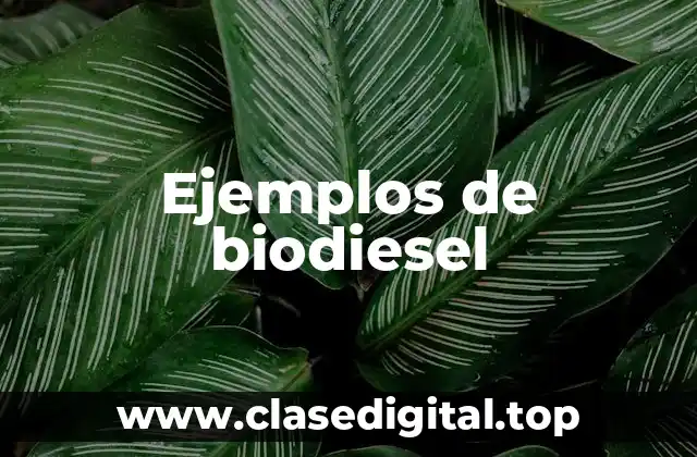 Ejemplos de biodiesel