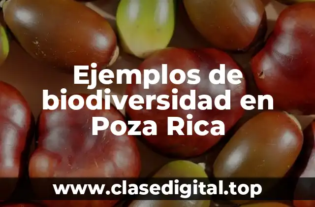 Ejemplos de biodiversidad en Poza Rica