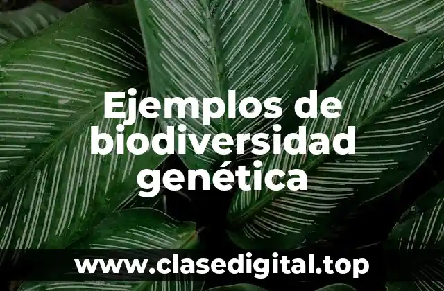Ejemplos de biodiversidad genética