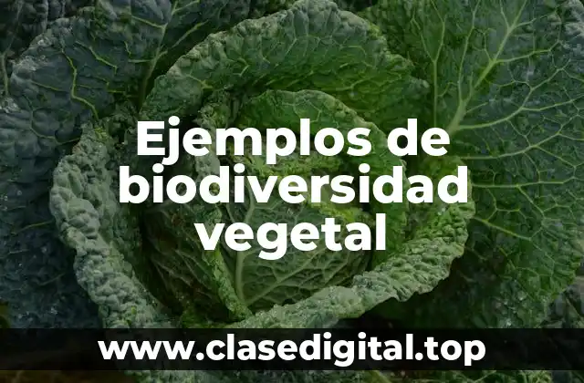 Ejemplos de biodiversidad vegetal