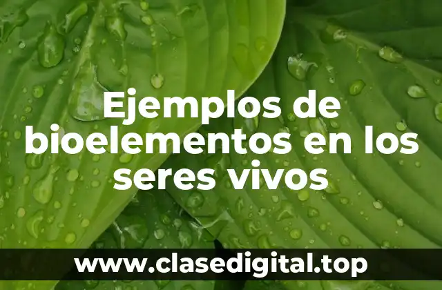 Ejemplos de bioelementos en los seres vivos