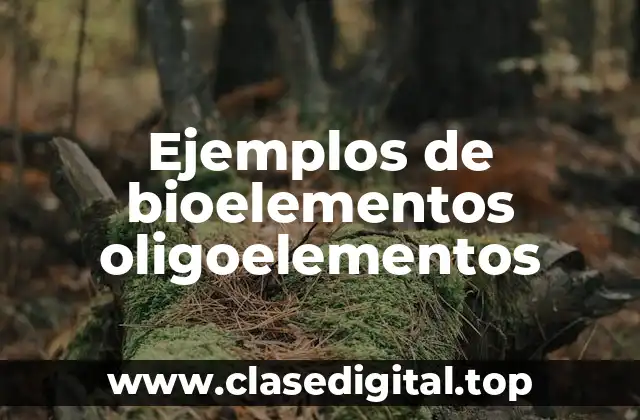 Ejemplos de bioelementos oligoelementos