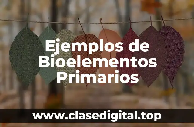 Ejemplos de Bioelementos Primarios