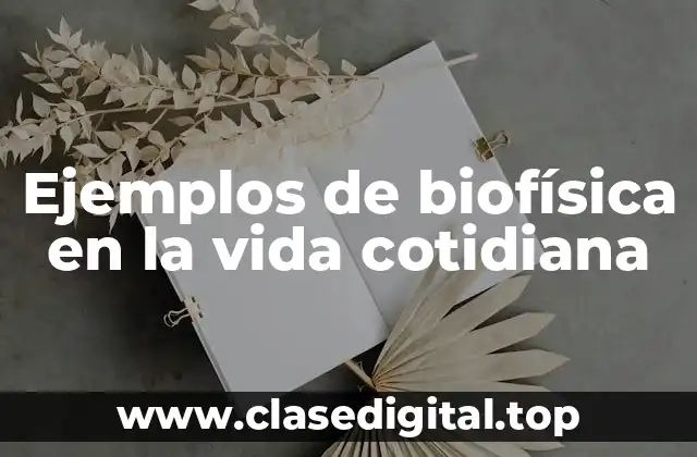 Ejemplos de biofísica en la vida cotidiana