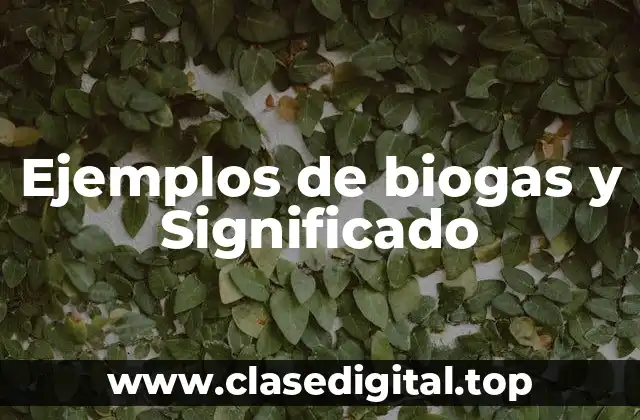 Ejemplos de biogas y Significado