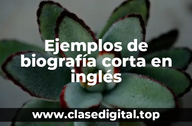 Ejemplos de biografía corta en inglés