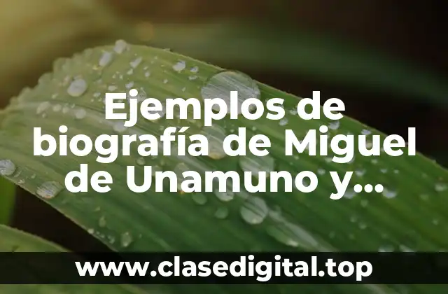 Ejemplos de biografía de Miguel de Unamuno y Significado