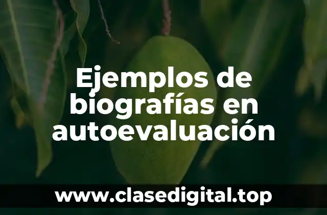 Ejemplos de biografías en autoevaluación