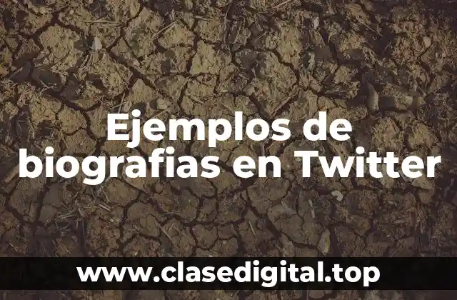 Ejemplos de biografias en Twitter