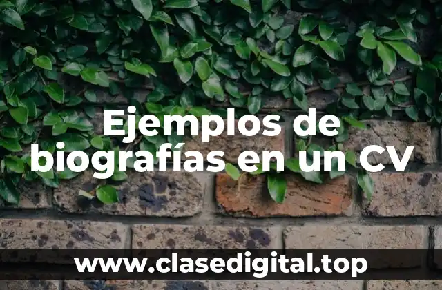 Ejemplos de biografías en un CV