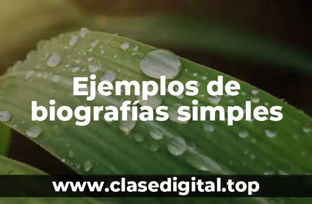 Ejemplos de biografías simples